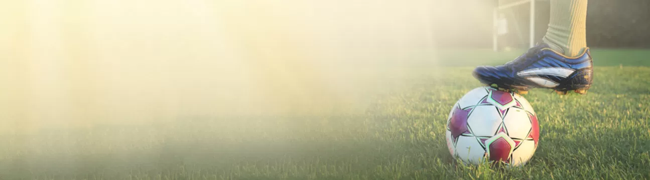 ng体育登录赔率解析